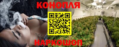 шишки Кинель