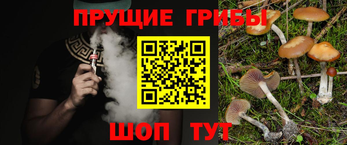 купить наркотики цена  Вход с VPN  Качканар  Псилоцибиновые грибы Psilocybine cubensis  Псилоцибиновые грибы Cubensis 