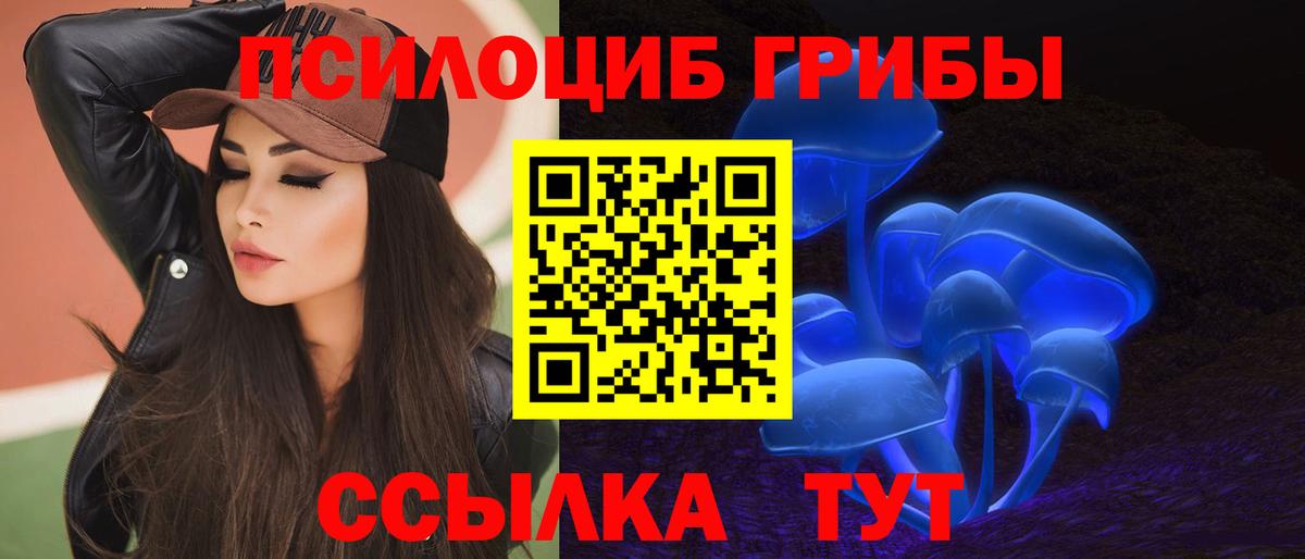 Псилоцибиновые грибы мицелий Качканар